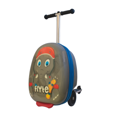 Products Zinc Flyte Australia